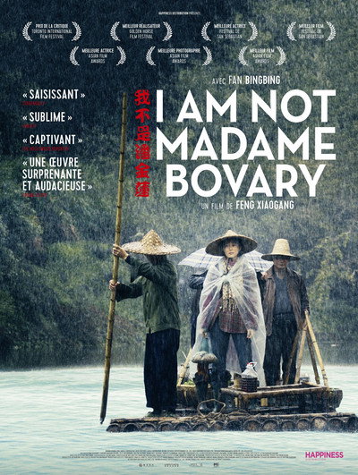 I Am Not Madame Bovary