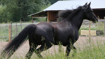 Görsel #296619
