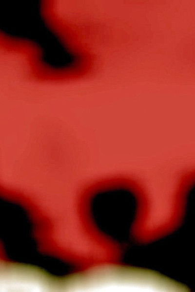 Poster do Filme Bossburg