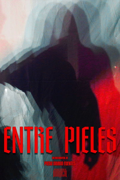 Poster do Filme Entre pieles
