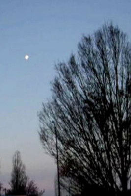 Poster do Filme Mireuil Meander