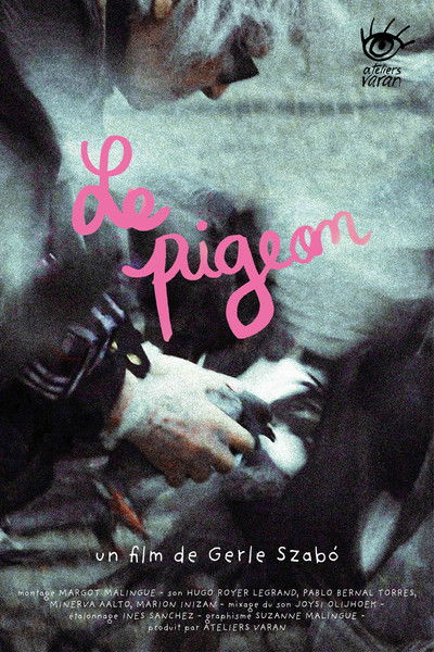 Poster do Filme Le pigeon
