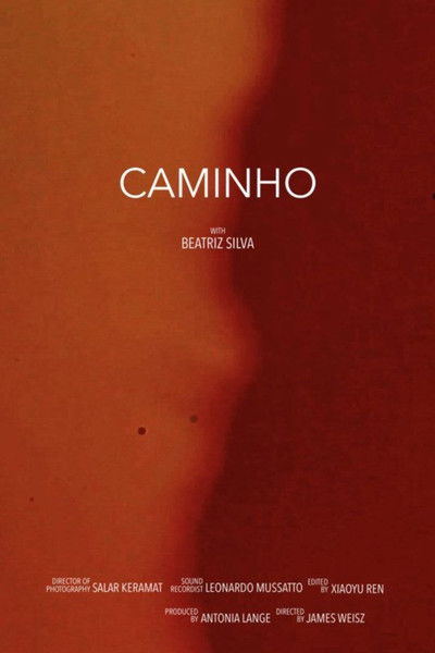 movie poster for Camhino (The Road)