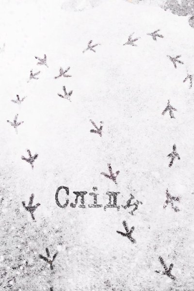 movie poster for Traces