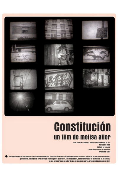 Poster do Filme Constitución