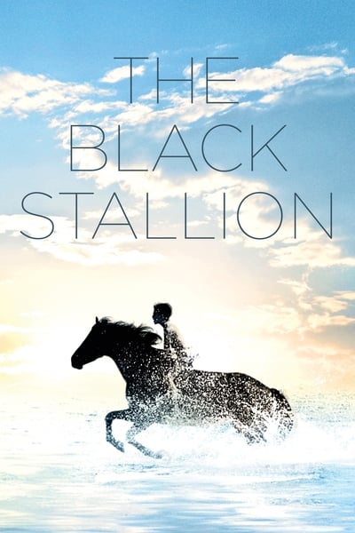 Black Stallion (1979)