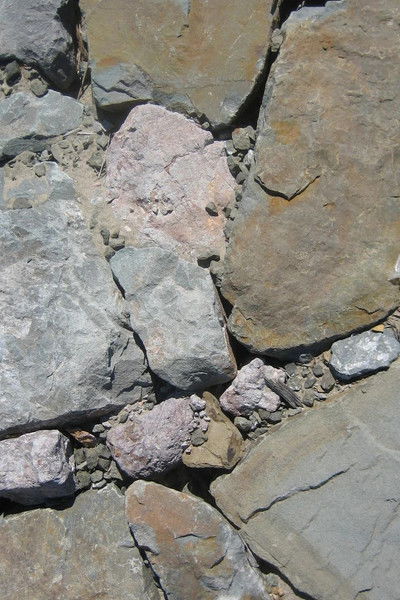 movie poster for Speechless