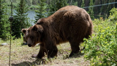 Görsel #17578