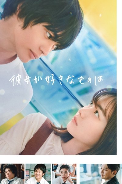 Poster for the movie What She Likes