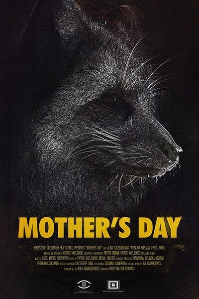 Poster do Filme Dzień Matki