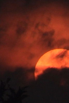 Poster do Filme Grodek