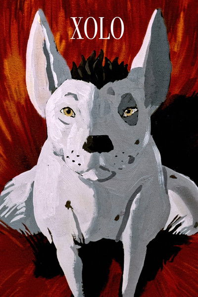 Poster do Filme XOLO
