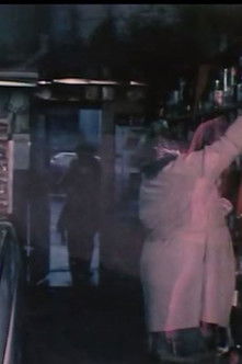 Poster do Filme A Family on Fell Street