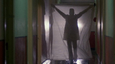 Görsel #237446