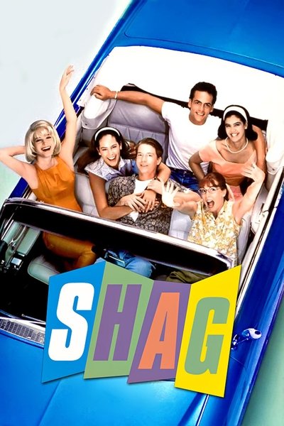 Poster for the movie Shag