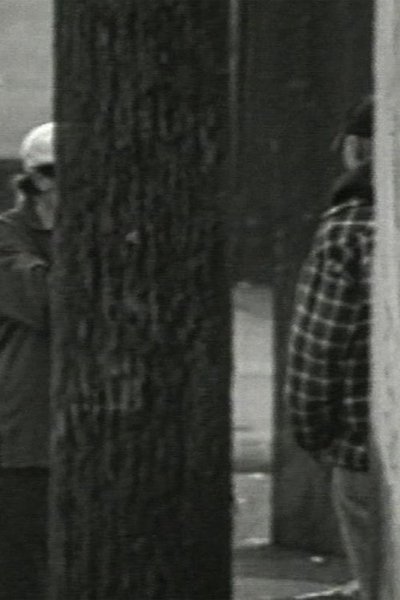 Poster do Filme Phoenix Is a Cunning Cunt