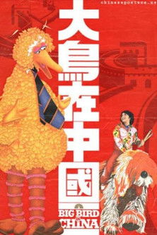 Big Bird in China