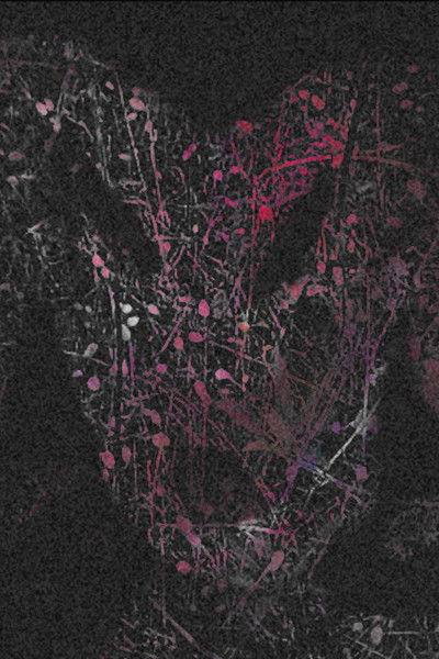 Poster do Filme howtobakeacake