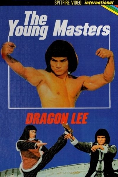 Poster do Filme 勇立忍者