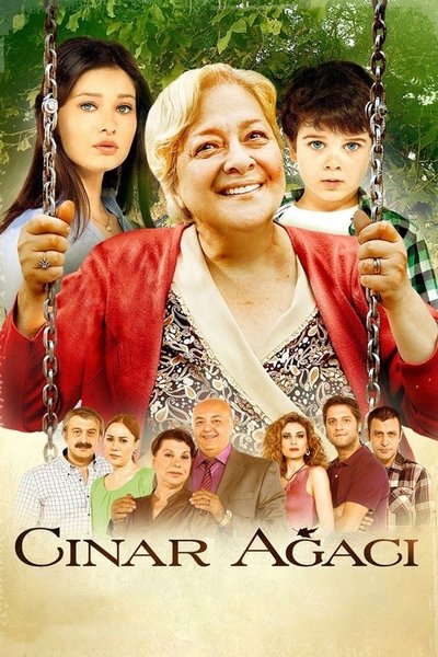 Poster for the movie The Plane Tree