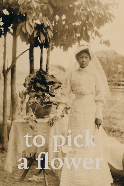 Poster do Filme To Pick a Flower