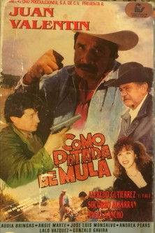 Poster do Filme Como patada de mula
