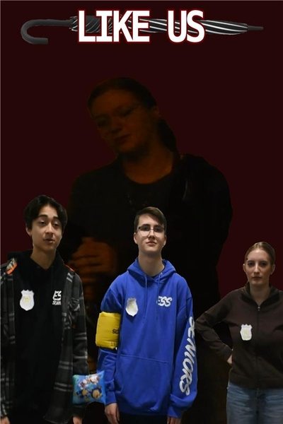 movie poster for Like Us