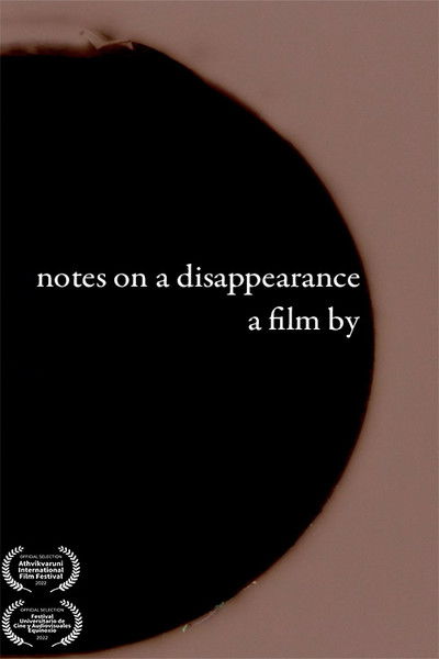 Poster do Filme notes on a disappearance