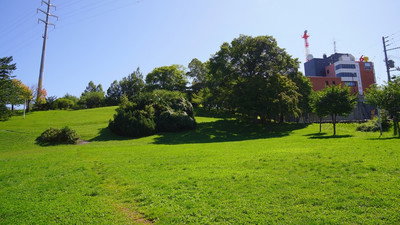 Görsel #288163