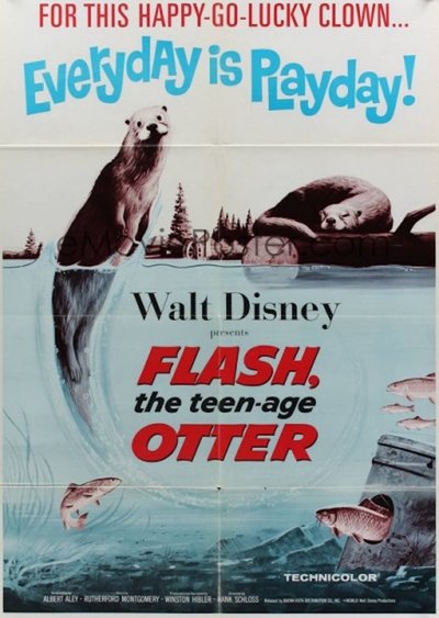 Poster for the movie Flash, The Teenage Otter