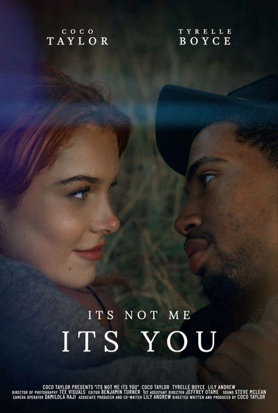 Poster do Filme It's Not Me, It's You