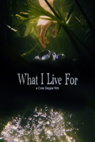 Poster for the movie Test
