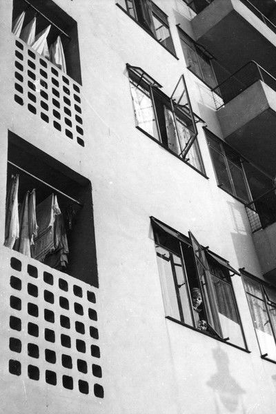 Poster do Filme Kensal House