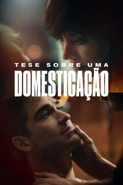Poster do Filme Tese Sobre uma Domesticação