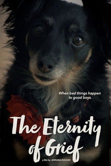 movie poster for The Eternity of Grief