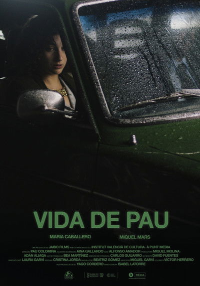 Poster do Filme Vida de pau