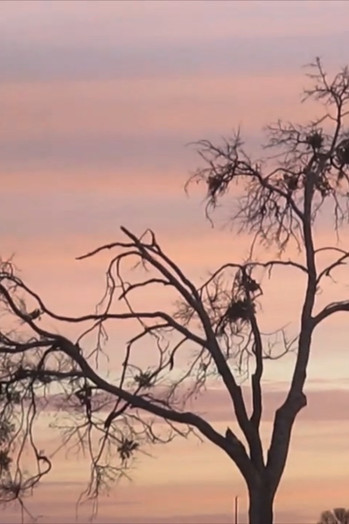 Poster do Filme on a windy day