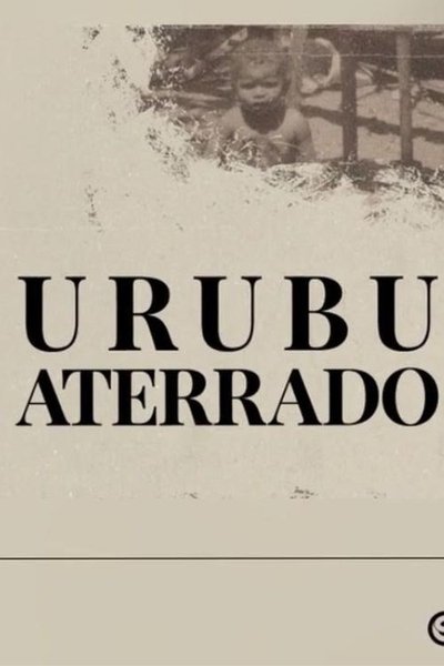 movie poster for Urubu aterrado