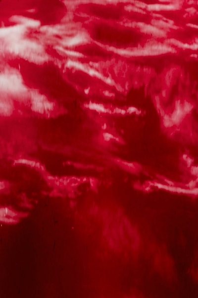 Poster do Filme Chameleon Law