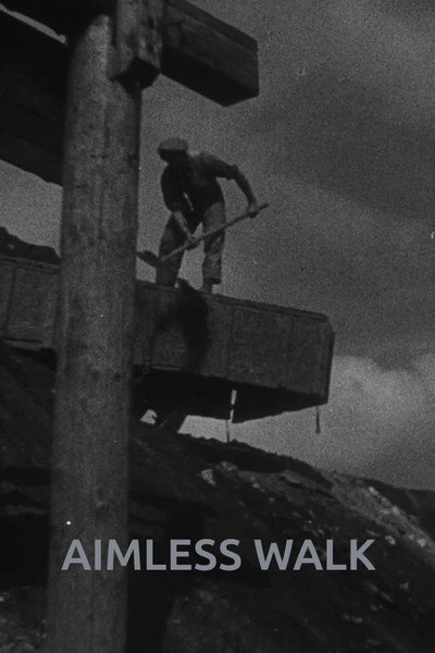 Poster do Filme Bezúčelná procházka