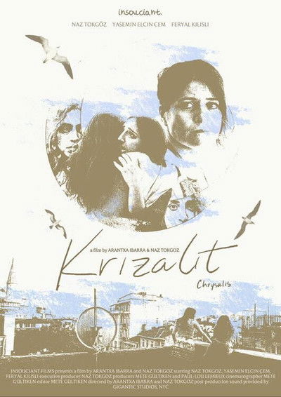 Poster do Filme Krizalit
