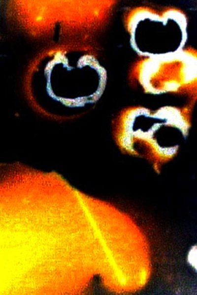 Poster do Filme Fartasia