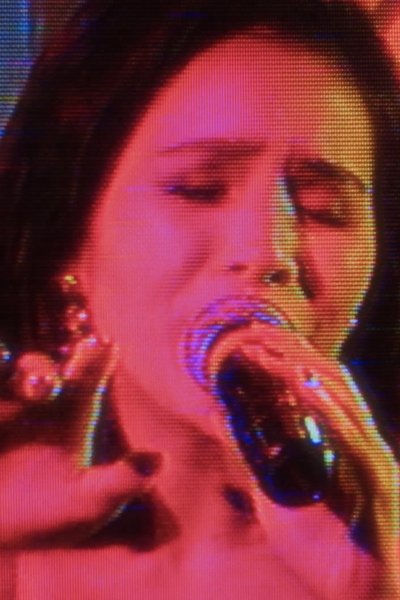 movie poster for Elenita Elena Elaine