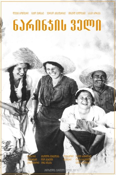 Poster do Filme ნარინჯის ველი