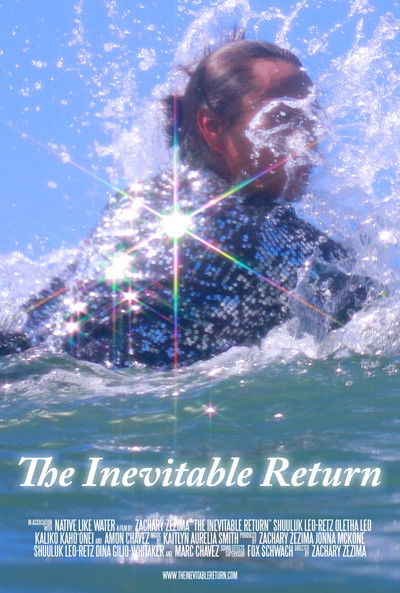 Poster do Filme The Inevitable Return