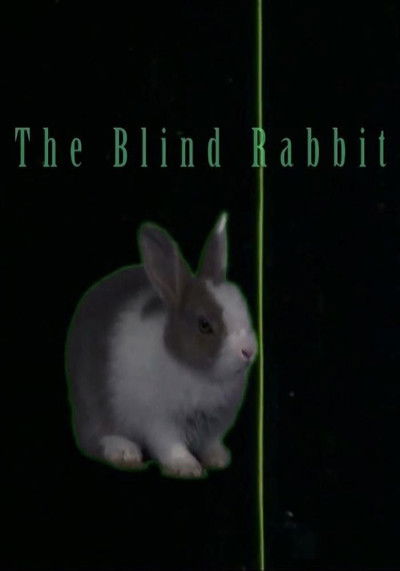 Poster do Filme The Blind Rabbit