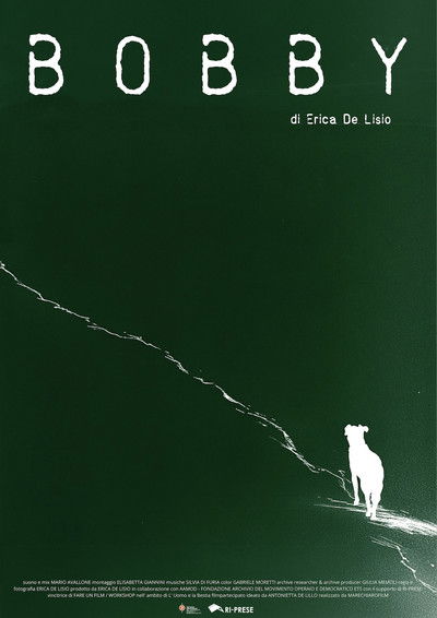 Poster do Filme Bobby