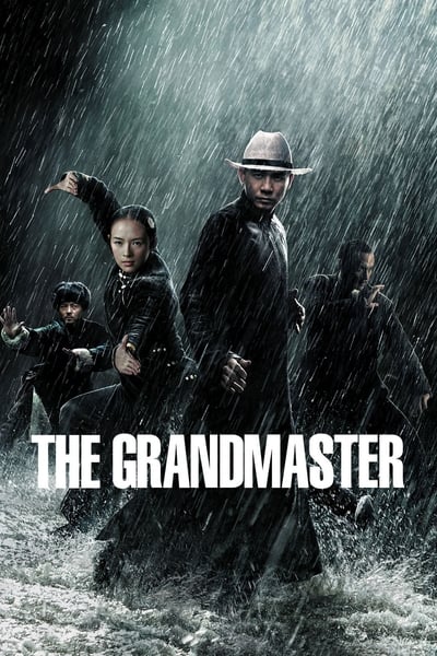 The Grandmaster 2013 Dual Audio Hindi ORG 1080p 720p 480p BluRay x264 ESubs