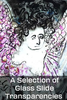 Poster do Filme A Selection of Glass Slide Transparencies