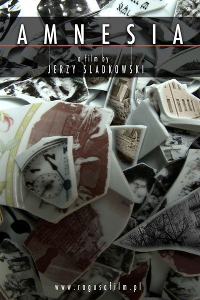 Poster do Filme Amnezja